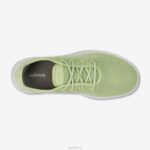 Allbirds Baumläufer für Herren DZ82612 Futtergrün (Blizzard-Sohle) – Bild 5