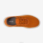 Allbirds Baumläuferinnen für Frauen DZ826156 Honigrost (Blizzard-Sohle) – Bild 4