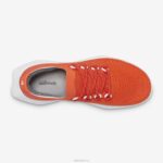 Allbirds Herren Tree Dasher 2 DZ82624 Rad Rust (Blizzard-Sohle) – Bild 7